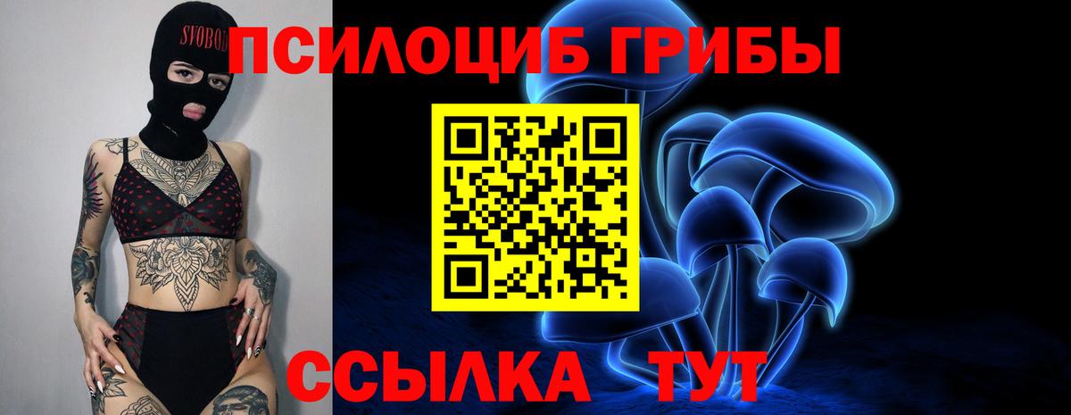 Псилоцибиновые грибы GOLDEN TEACHER Белогорск